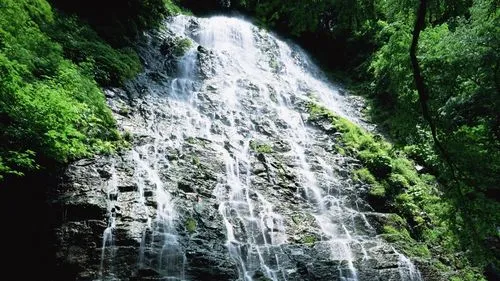电子智能系统